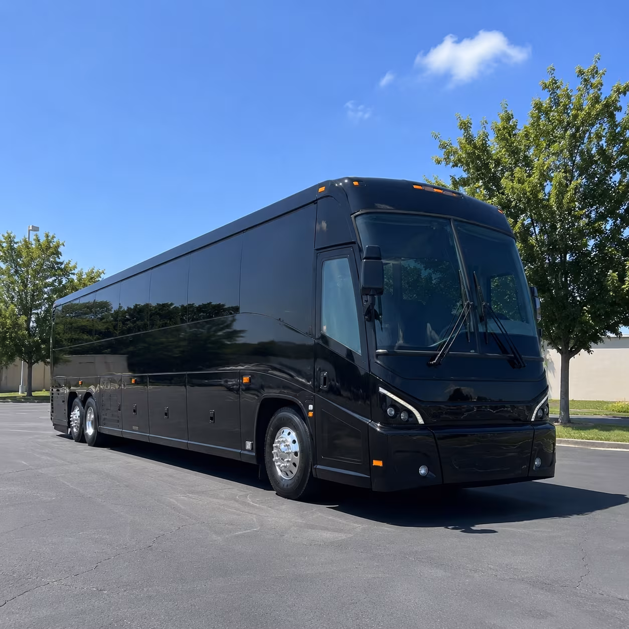 denver 56 passenger charter bus